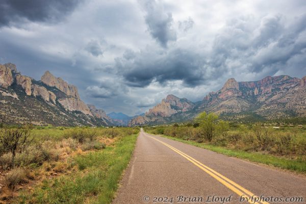 Az Vacn Cave Creek Ranch 2025-08-26 - Landscape (3)