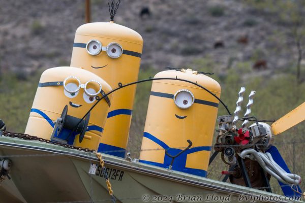 Az Vacn Cave Creek Ranch 2025-08-26 - Minions (1)