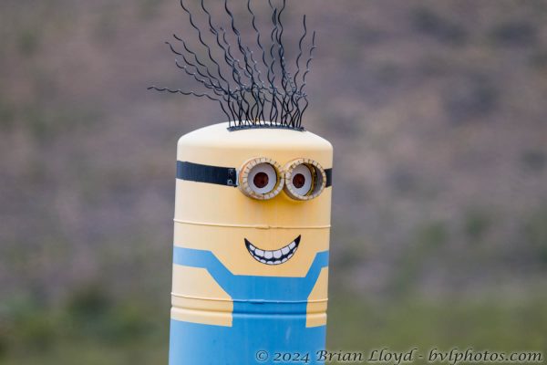 Az Vacn Cave Creek Ranch 2025-08-26 - Minions (3)