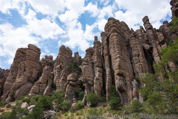 Az Vacn Chirica Natnl Momumnt 2025-08-25 - Landscape (1)