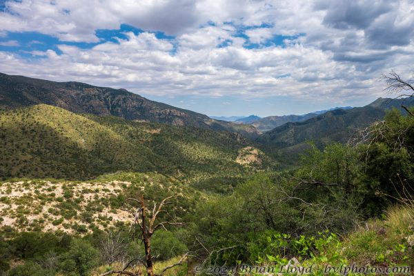 Az Vacn Chirica Natnl Momumnt 2025-08-25 - Landscape (2)