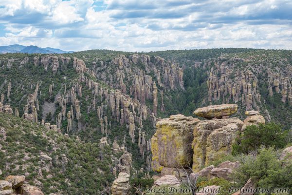 Az Vacn Chirica Natnl Momumnt 2025-08-25 - Landscape (4)