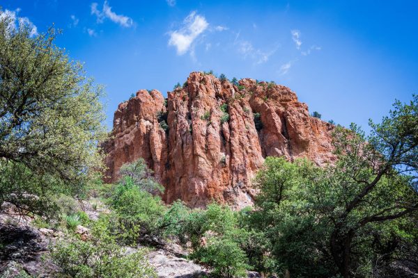 Az Vacn Chiricahuas 2025-08-27 - Landscape (5)