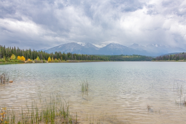 Day-09 Jasper IcefieldsPkwy 2022-09-23 16