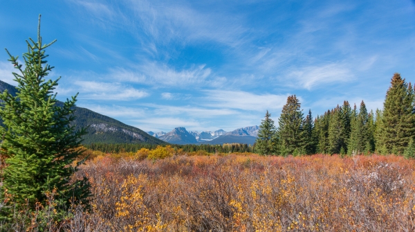 Day-14 Banff Local 2022-09-27 78