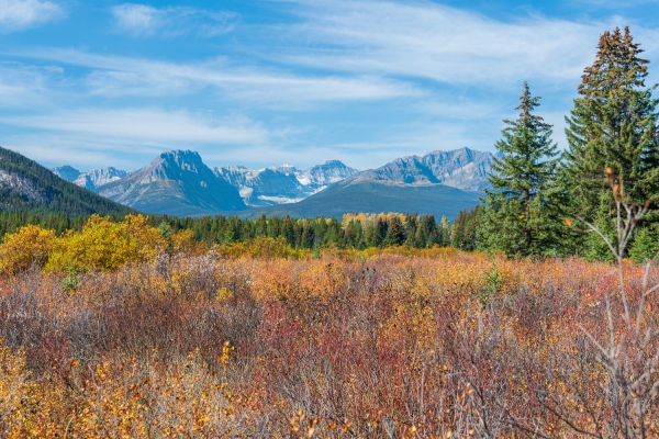 Day-14 Banff Local 2022-09-27 90