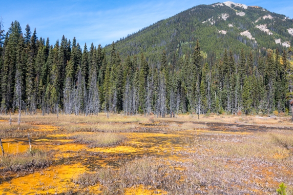 Day-15 Banff Marble Canyon 2022-09-28 86