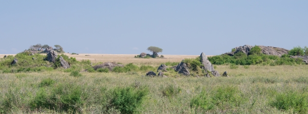 Landscape D07 Serengeti C Nyumbani 231012 095302