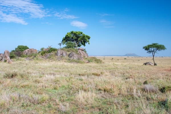 Landscape D08 Serengeti C Nyumbani 231013 084211_