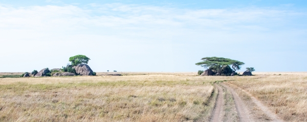 Landscape, Kopje D07 Serengeti C Nyumbani 231012 090227_