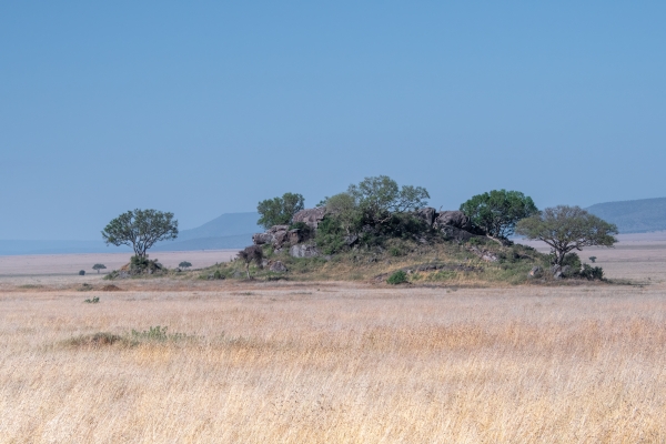 Landscape, Kopje D08 Serengeti C Nyumbani 231013 090351 _01