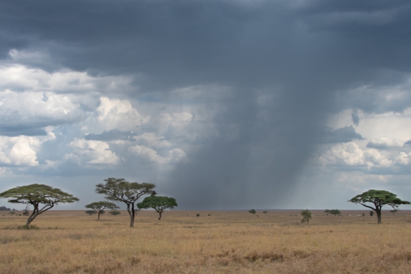 Landscape, Storm D08 Serengeti C Nyumbani 231013 144935_