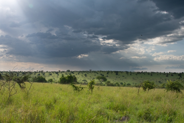 Landscape, Storm D09 Serengeti C-N Nyikani 231014 165035