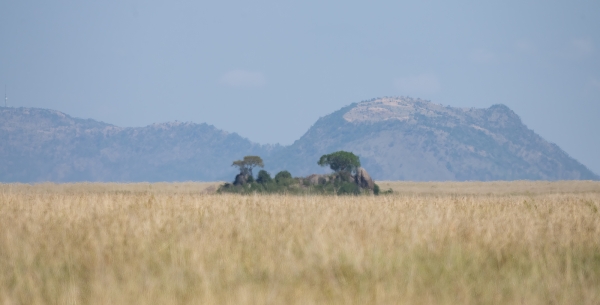 Landscape, kopje D07 Serengeti C Nyumbani 231012 094550 _01