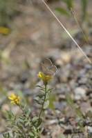 BlackCanyon_2015_07_13 - Blue, Greenish (4)_01-websized