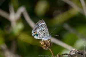 Keys_05-19-2019 - Blue, Miami (10)-Fullsized