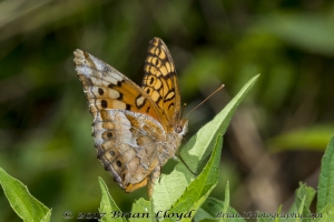 Leon_EKP_2018_06_04-42-Fullsized