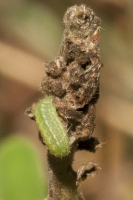 2016_04_18 17-web