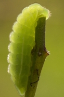 2015_04_07_24-web