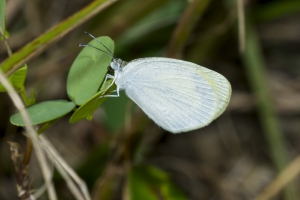 sfl-everglades-2016_10_07-182-_a